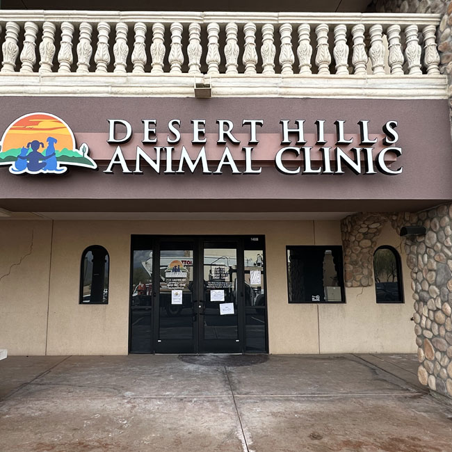 animal clinic